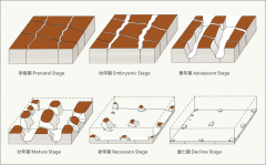 雅丹地貌的演化过程 Development of Yardang