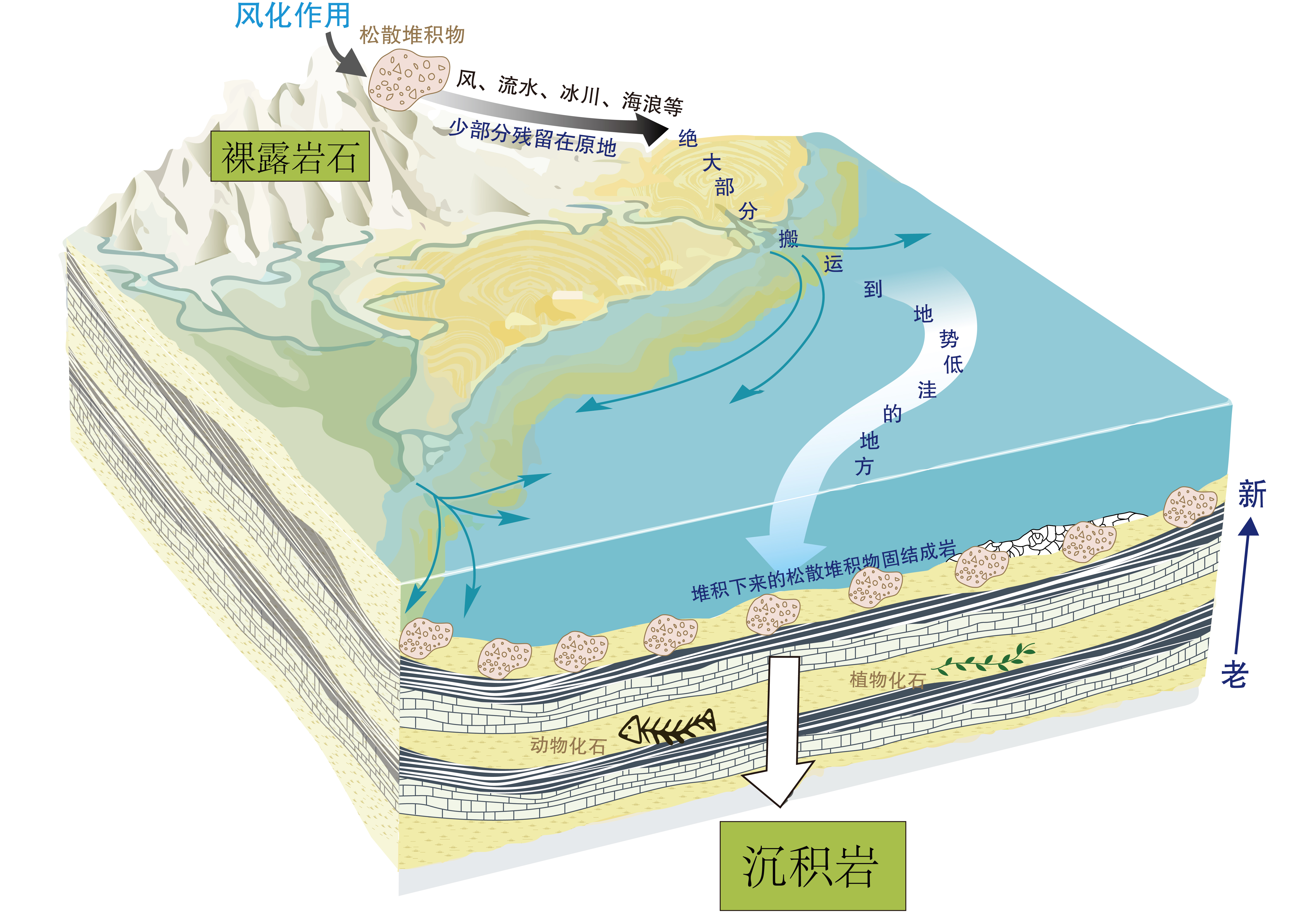 什么是沉积岩